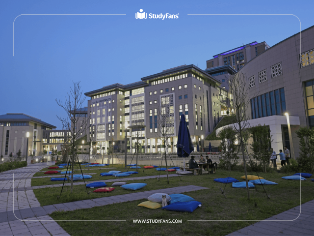 Halic university Halic university