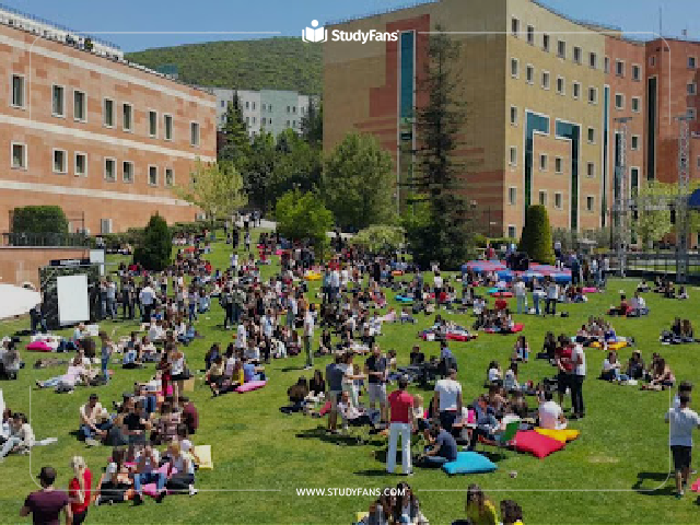 Yeditepe university Yeditepe university