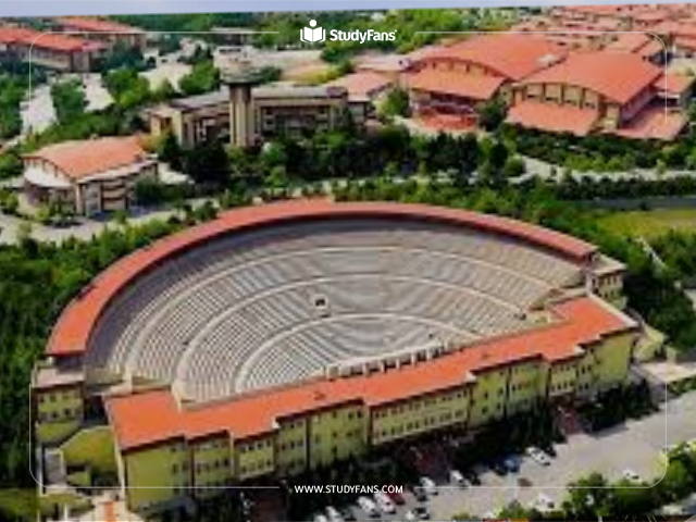 maltepe university