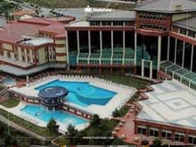 maltepe university