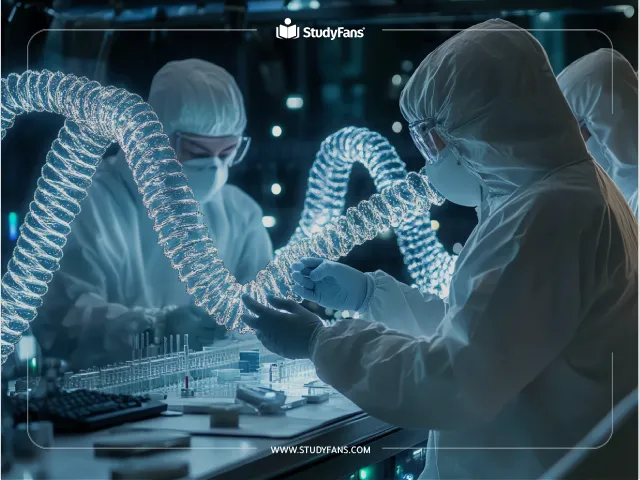 الهندسة الطبية الحيوية في تركيا الهندسة الطبية الحيوية في تركيا