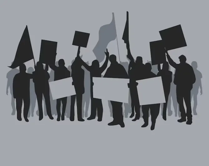 درجة البكالريوس في برنامج العلوم السياسية في جامعة بيلجي