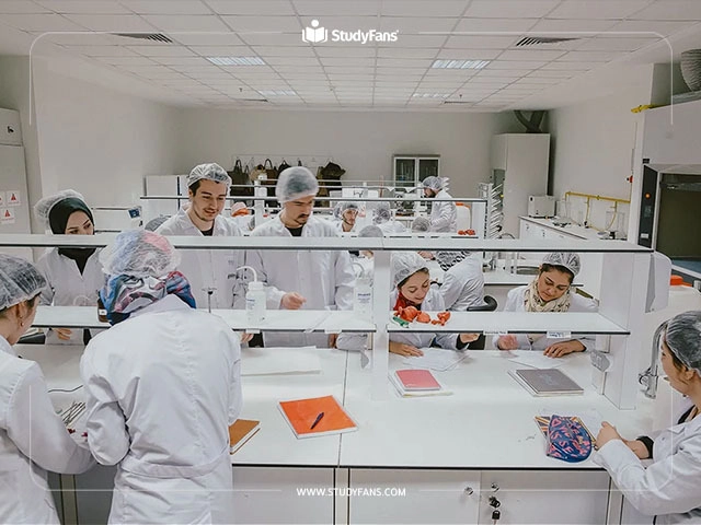 تخصصات معاهد جامعة البيروني 