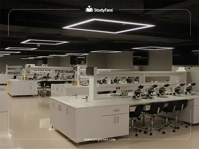 اعتمادات جامعة استينيا