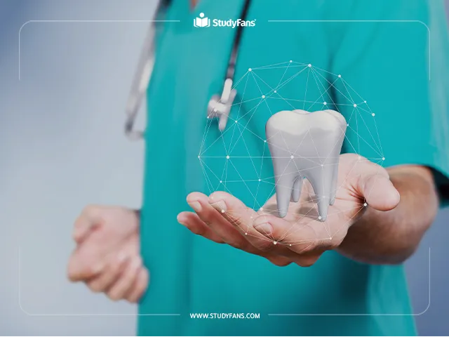 تخصص هندسة البرمجيات في جامعة اسطنبول أيدن تخصص هندسة البرمجيات في جامعة اسطنبول أيدن