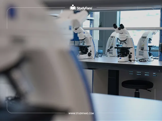 مواعيد التسجيل السنوية في جامعة الخليج مواعيد التسجيل السنوية في جامعة الخليج