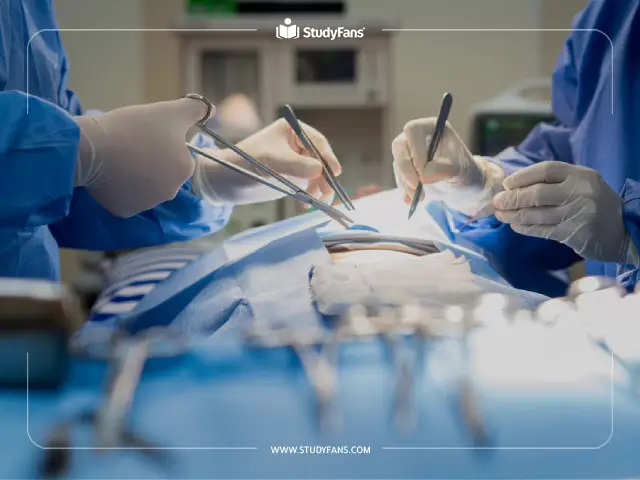 أفضل الجامعات لدراسة الطب في ماليزيا أفضل الجامعات لدراسة الطب في ماليزيا