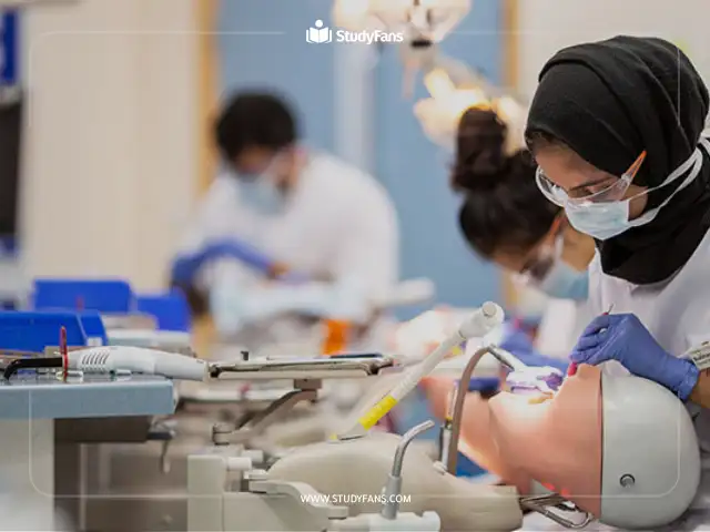 مستقبل خريجي طب الأسنان في قبرص مستقبل خريجي طب الأسنان في قبرص