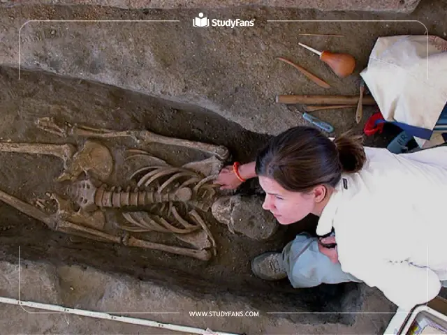 أفضل الجامعات لدراسة الأنثروبولوجيا في تركيا