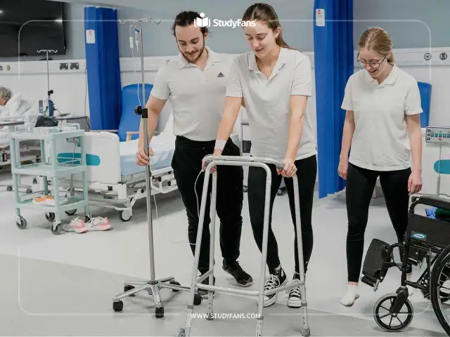 Jobs for Physiotherapy Graduates in Turkey