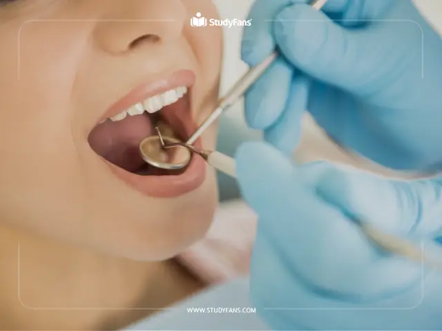 Study of Dentistry in Turkey